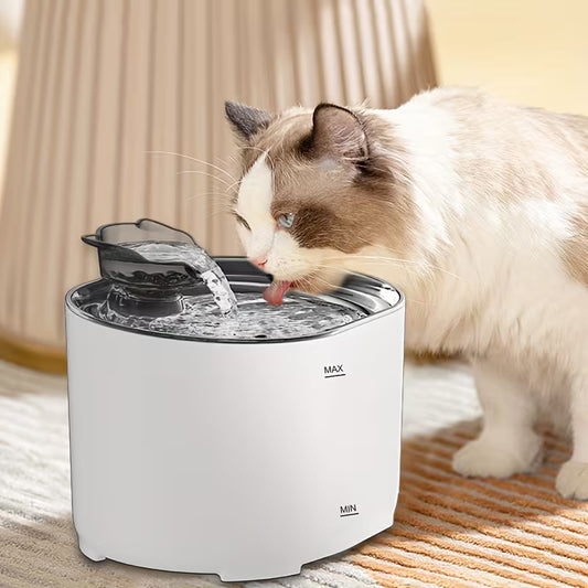 Automatic Pet Water Fountain